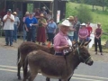 22 - Audrey and Mules in Parade.jpg