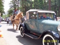 050-Horse and Buggy.jpg