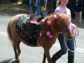 girl_pony_parade.jpg